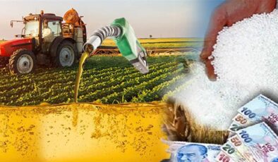 Bursa’da Tarım Can Çekişiyor!