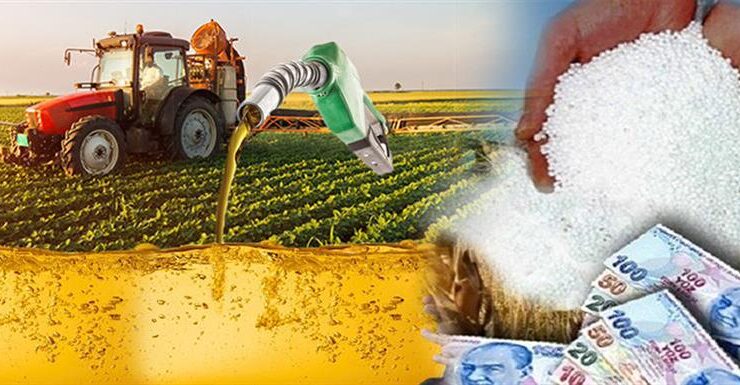 Bursa’da Tarım Can Çekişiyor!