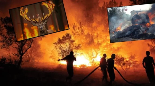 “Yeşil Vatan Alarm Veriyor!”