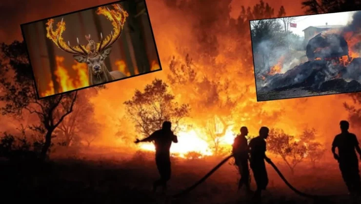 “Yeşil Vatan Alarm Veriyor!”