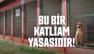 “Hayvansevere Ceza, Katliama Sessizlik!”