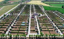 Binlerce Vatandaşın Emeği Göz Ardı Ediliyor