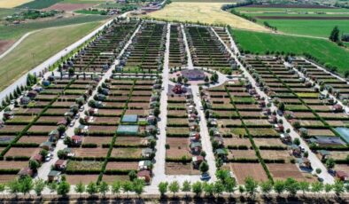 Binlerce Vatandaşın Emeği Göz Ardı Ediliyor