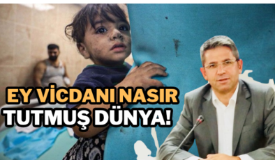 Ey vicdanı nasır tutmuş dünya!