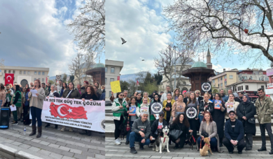 Bursa Hayvan Hakları Platformu’ndan Belediye ve Valiliğe Çağrı: “Yaşam Alanları Acilen Yapılmalı”