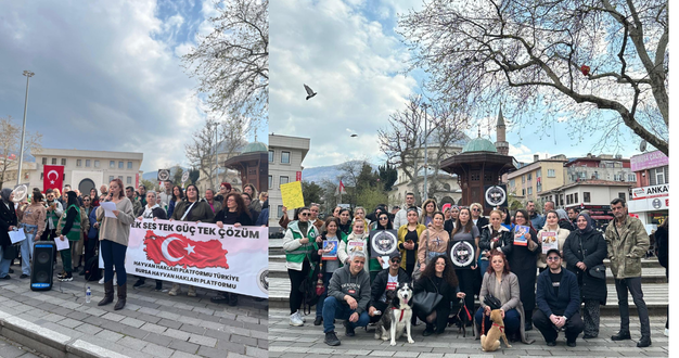 Bursa Hayvan Hakları Platformu’ndan Belediye ve Valiliğe Çağrı: “Yaşam Alanları Acilen Yapılmalı”