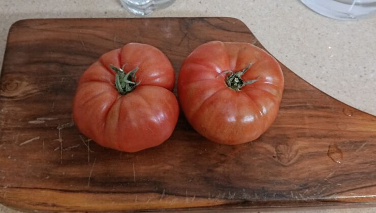 Sebze Meyve Altına Rahmet Okutuyor!