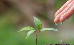 TEMA’dan Anlamlı Anı…