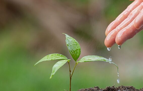 TEMA’dan Anlamlı Anı…