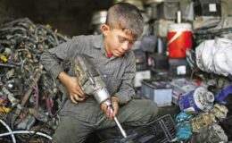 Gelecek Meslekteyse, Geçmişin Emeği Güvencede Olmalı!