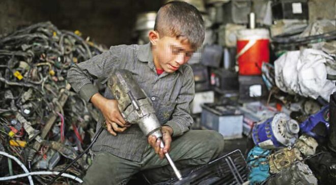 Gelecek Meslekteyse, Geçmişin Emeği Güvencede Olmalı!