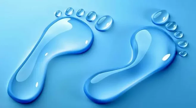 Zeytin Üreticisine Yönelik Yanıltıcı Su Ayak İzi Yorumları Kabul Edilemez!