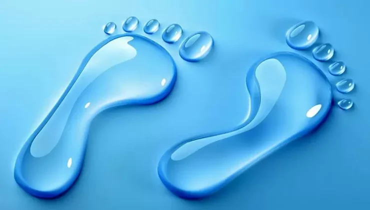 Zeytin Üreticisine Yönelik Yanıltıcı Su Ayak İzi Yorumları Kabul Edilemez!