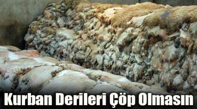 Kurban Derileri Neden Değerlendirilemiyor?