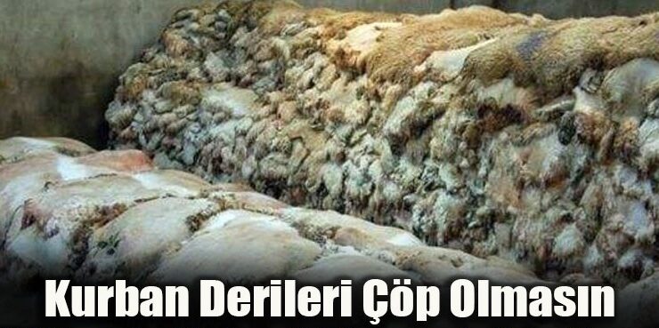 Kurban Derileri Neden Değerlendirilemiyor?