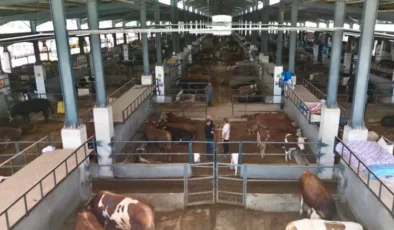 Bursa İnegöl’de modern hayvan pazarı yüzleri güldürdü