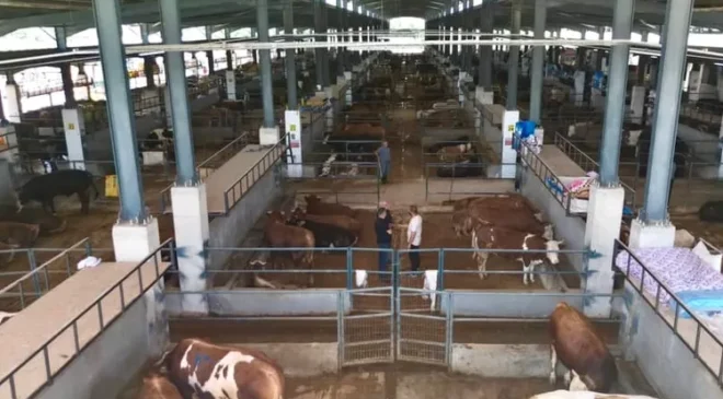 Bursa İnegöl’de modern hayvan pazarı yüzleri güldürdü