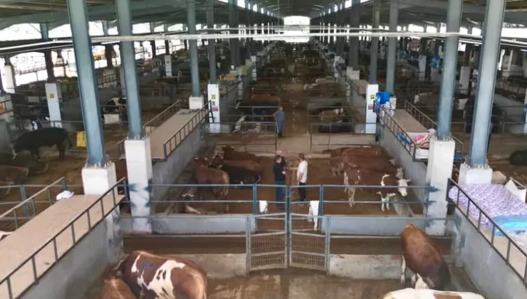 Bursa İnegöl’de modern hayvan pazarı yüzleri güldürdü