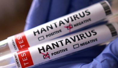 Hantavirüsün Kökeni ve Tarihçesi