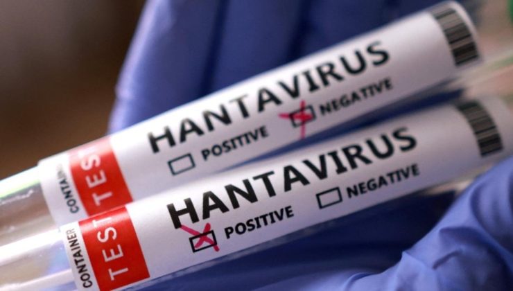 Hantavirüsün Kökeni ve Tarihçesi