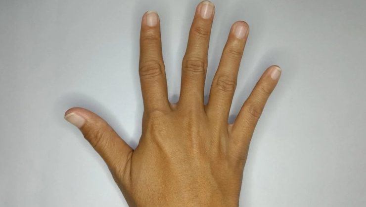 İnsanların Sağ El Baskınlığının Evrimsel Kökeni
