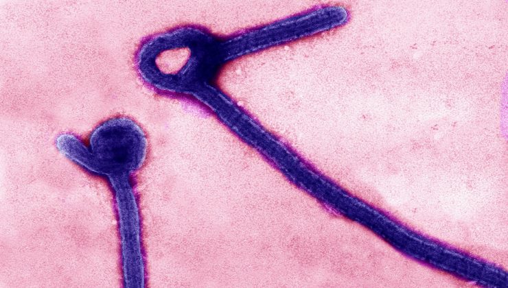 Kongo’daki Bundibugyo Ebola Salgını Hızla Yayılıyor