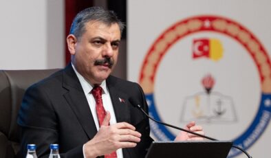 Sahipsiz hayvanlarla mücadelede son durum