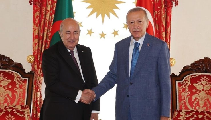 Türkiye’den Cezayir’e yeni enerji koridoru teklifi