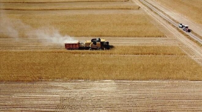 165.5 Milyon TL Tarımsal Destek Ödemesi Yapıldı