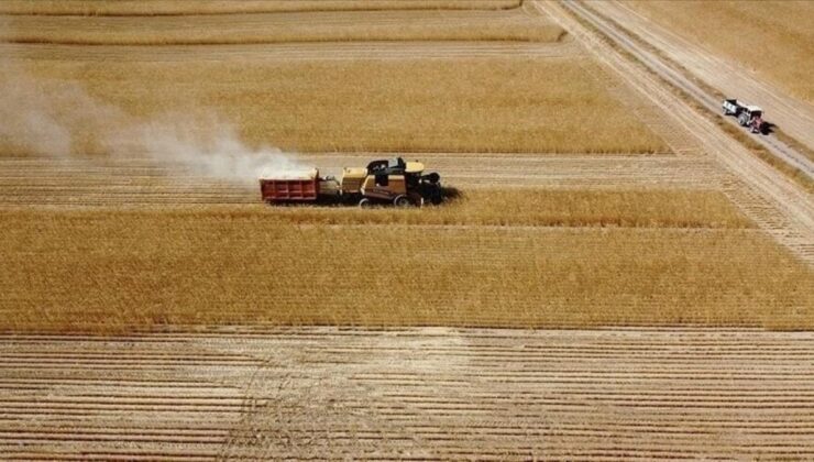 165.5 Milyon TL Tarımsal Destek Ödemesi Yapıldı