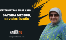 Saygıda Mecbur, Sevgide Özgür