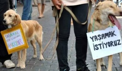 Bursa’da Hayvan Hakları Savunucularından Sokak Hayvanları İçin Protesto