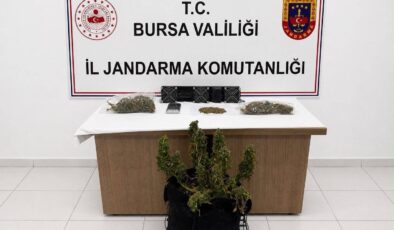Bursa’da Uyuşturucu Operasyonu: Kenevir ve Esrar Ele Geçirildi