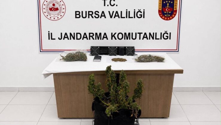 Bursa’da Uyuşturucu Operasyonu: Kenevir ve Esrar Ele Geçirildi