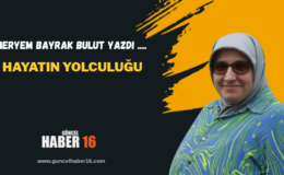 Hayatın Yolculuğu