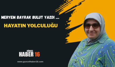 Hayatın Yolculuğu