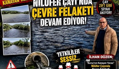 Karacabey’de Nilüfer Deresi İçin Yıllardır Süren Mücadele