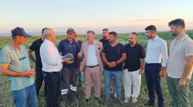 Bursa’da çiftçi isyanda! Yerli karpuz tarlada çürümeye terk edildi