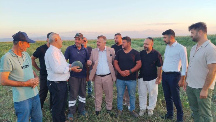Bursa’da çiftçi isyanda! Yerli karpuz tarlada çürümeye terk edildi