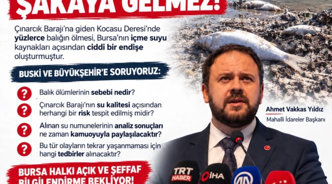 Saadet Partisi’nden Kocasu Deresi’nde balık ölümleri için çağrı