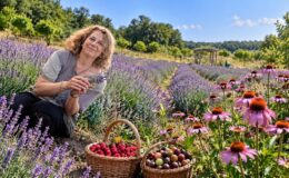 Nilüfer’de Şifanın Bahçesi: 60 Çeşit Tıbbi Aromatik Bitki Aynı Bahçede
