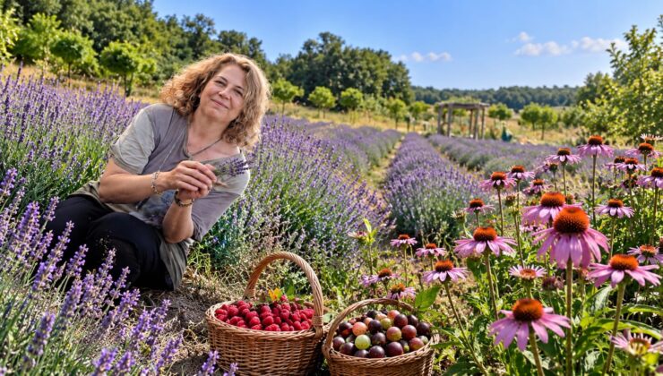 Nilüfer’de Şifanın Bahçesi: 60 Çeşit Tıbbi Aromatik Bitki Aynı Bahçede