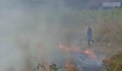 Bursa’da Ağaçlık Alanda Yangın Paniği: AŞAV Bursa Şube Başkanı Alevlere Müdahale Etti