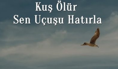 “Kuş ölür, sen uçuşu hatırla”