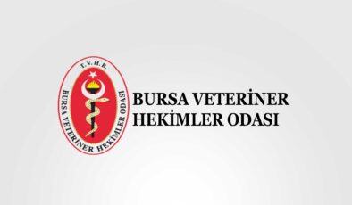 “İki farklı grup değil, tek ekip olarak çalışacağız”