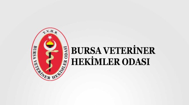 “İki farklı grup değil, tek ekip olarak çalışacağız”