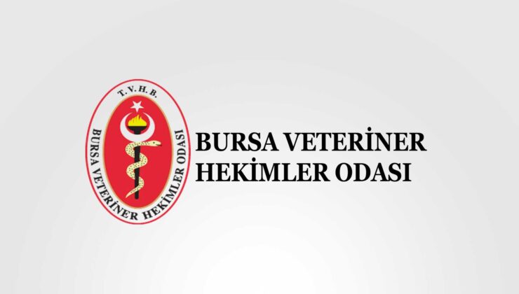 “İki farklı grup değil, tek ekip olarak çalışacağız”