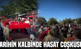 Alçıtepe’de Kirte Zeytin Hasat Festivali düzenlendi