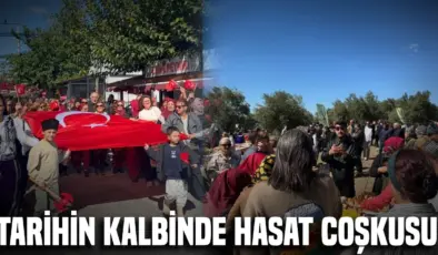 Alçıtepe’de Kirte Zeytin Hasat Festivali düzenlendi