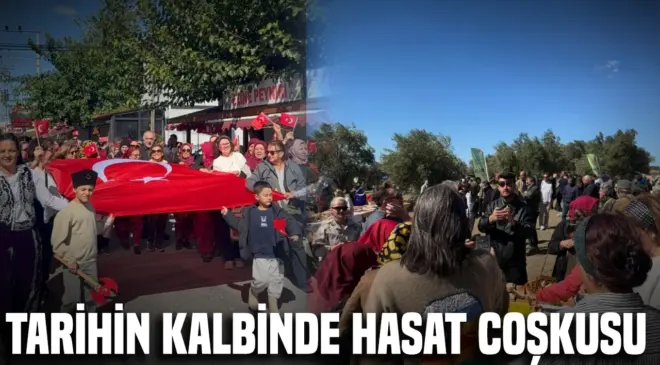 Alçıtepe’de Kirte Zeytin Hasat Festivali düzenlendi